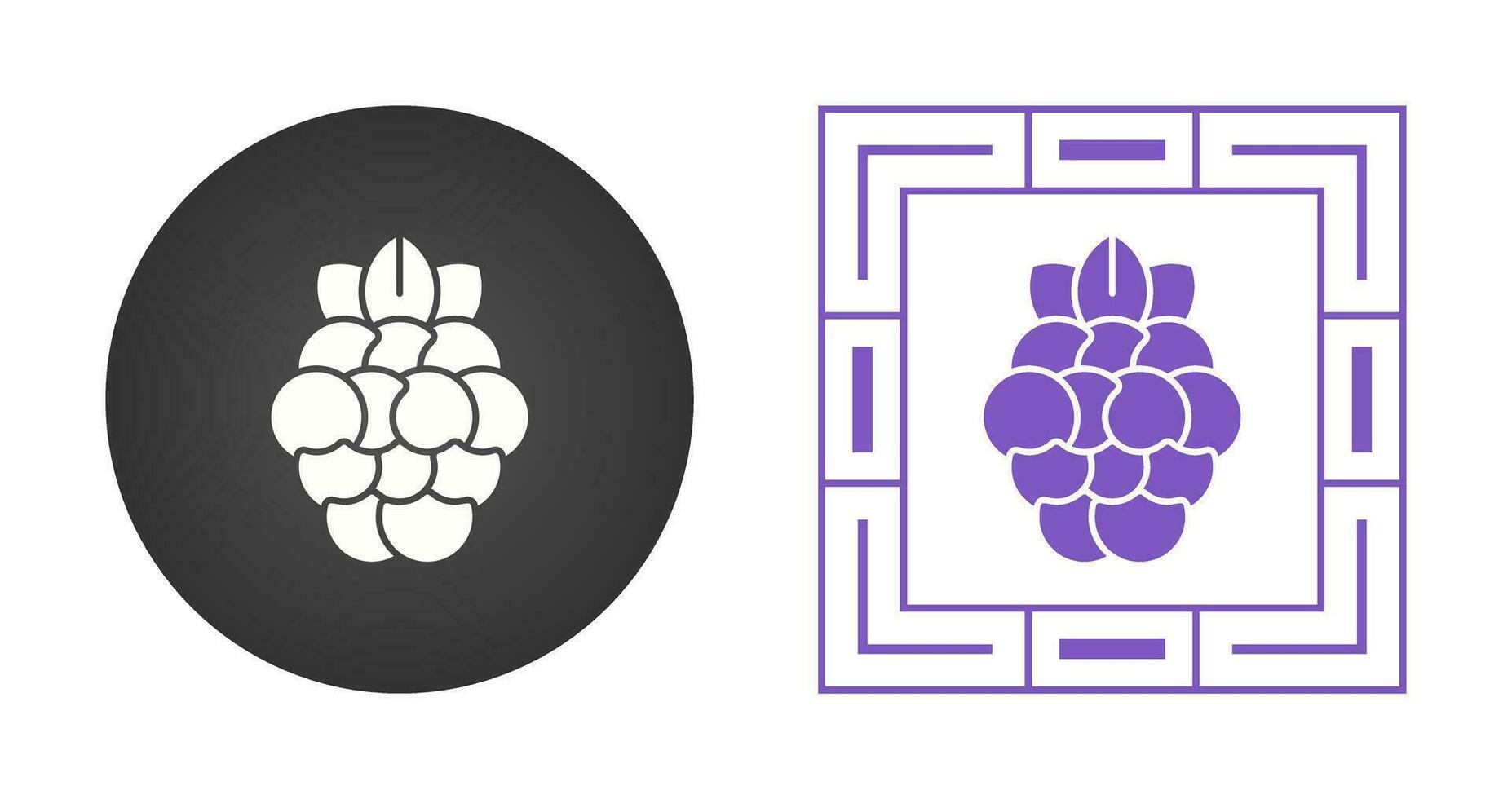Raspberry Vector Icon