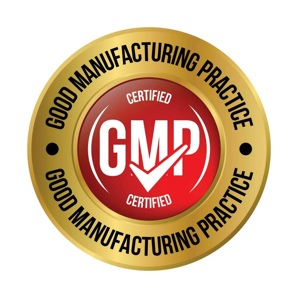 gmp certificado insignia, bueno fabricación práctica certificado estampilla, gmp aprobado etiqueta, embalaje diseño elementos, suplemento, gmp calidad control, médico y salud diseño elemento vector ilustración