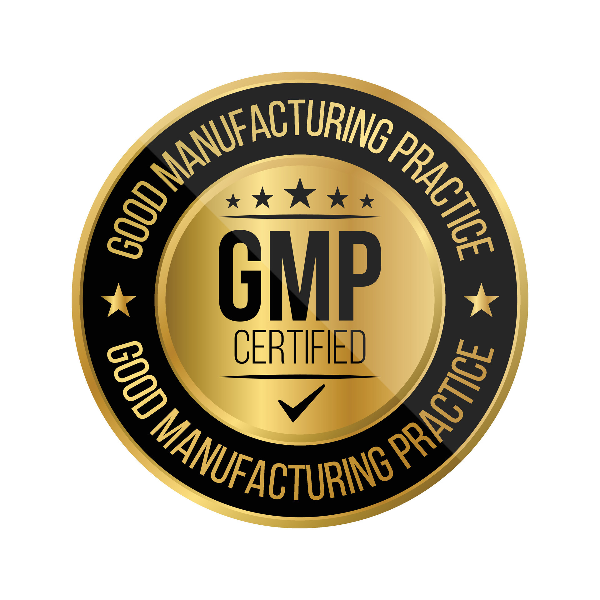 gmp certificado insignia, bueno fabricación práctica certificado