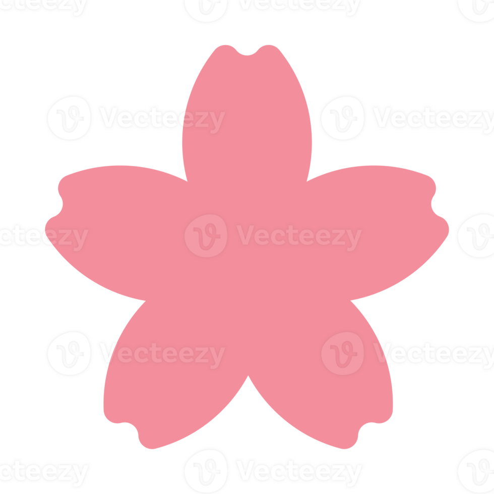 pink sakura flower png