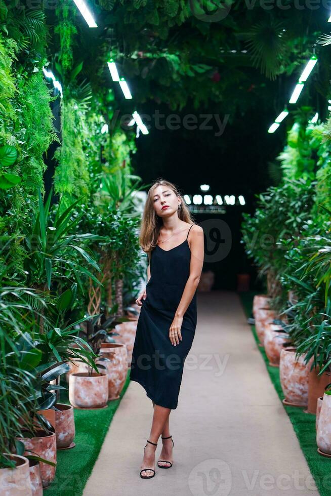 Young woman standing among green plants inside orangery. Young fashion model wearing black dress and elegant sandals among green plants inside orangery. Green Plant Gallery. Girl in botanical garden. photo