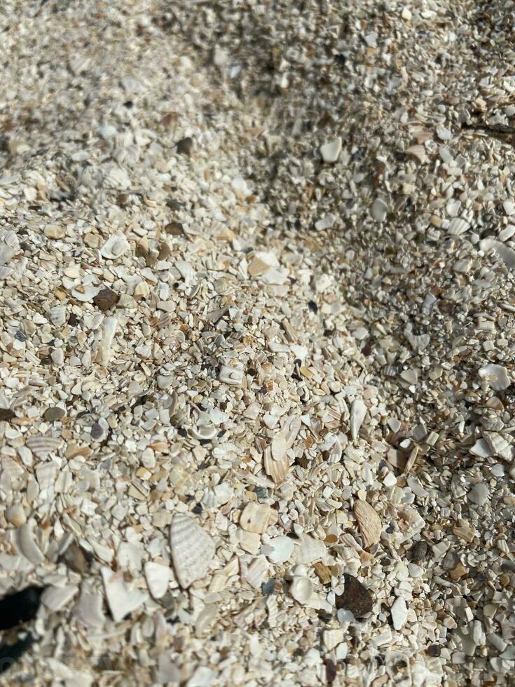 Surface of soil with small pebbles and shells. Beach background. Geological structures. Natural background for your stylish designs from light stone texture in beige color. Blurred background. photo