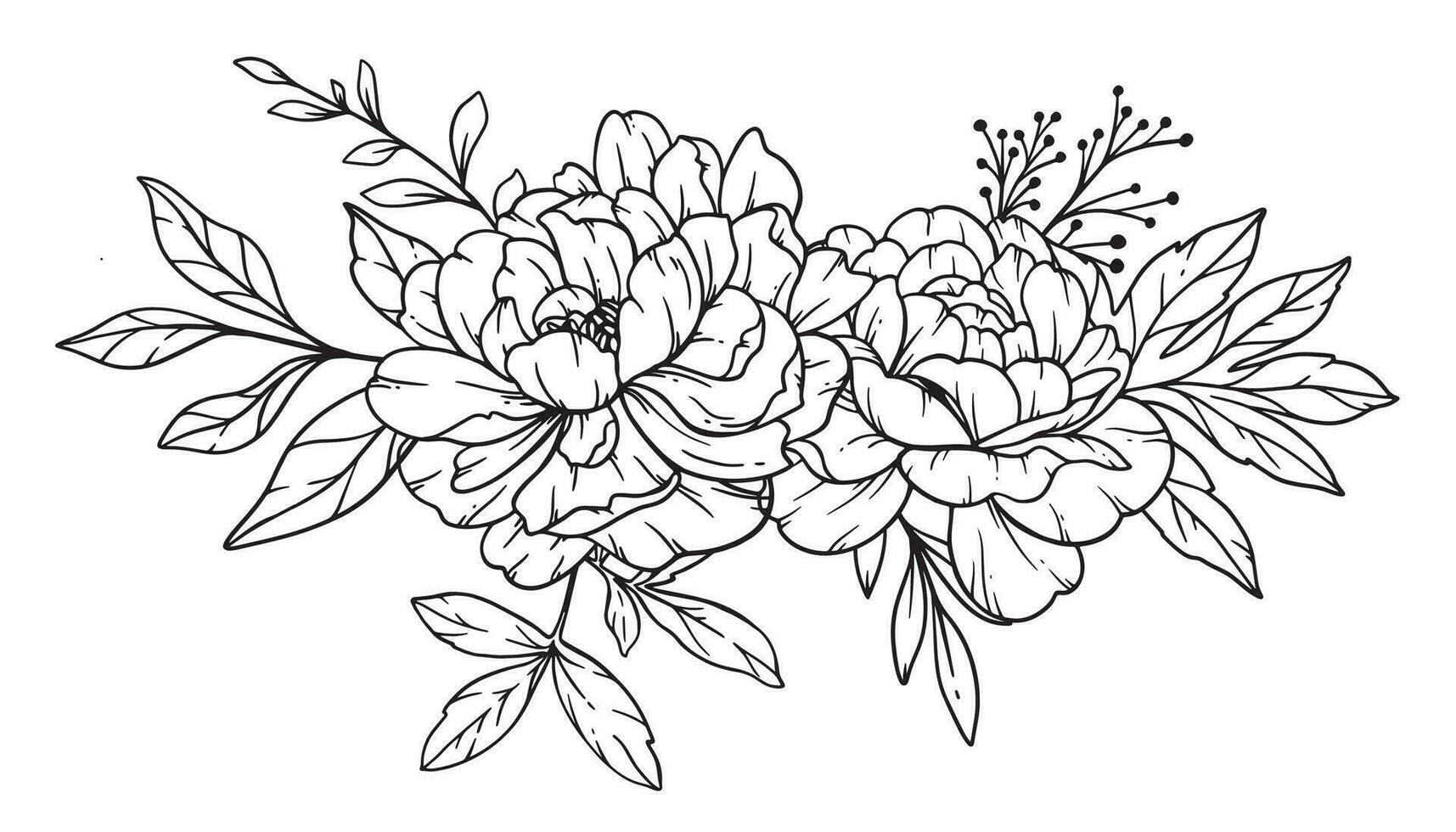 Peony  Line Art, Fine Line Peony Bouquets Hand Drawn Illustration. Coloring Page with Peony Flowers. vector