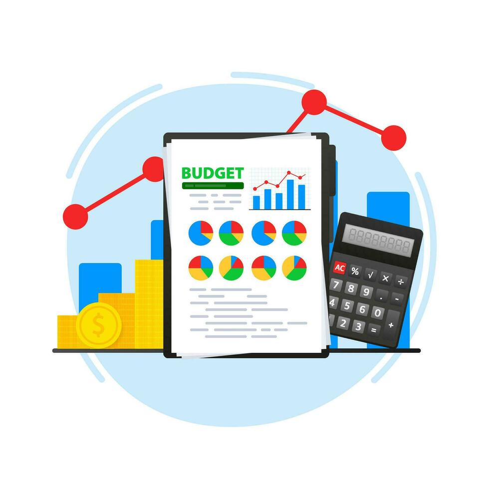 Budget document. Financial accounting. Financial audit research analysis vector