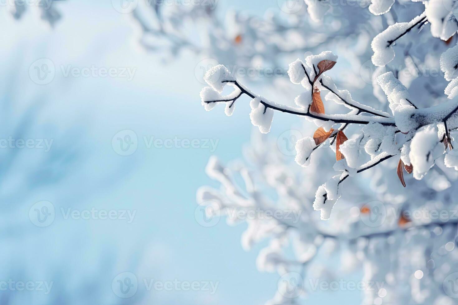 Winter season with snow caps covered branches of pine tree in Christmas festival, snowflake and bokeh glitter light background for mock up, Christmas eve new year background, with Generative Ai. photo