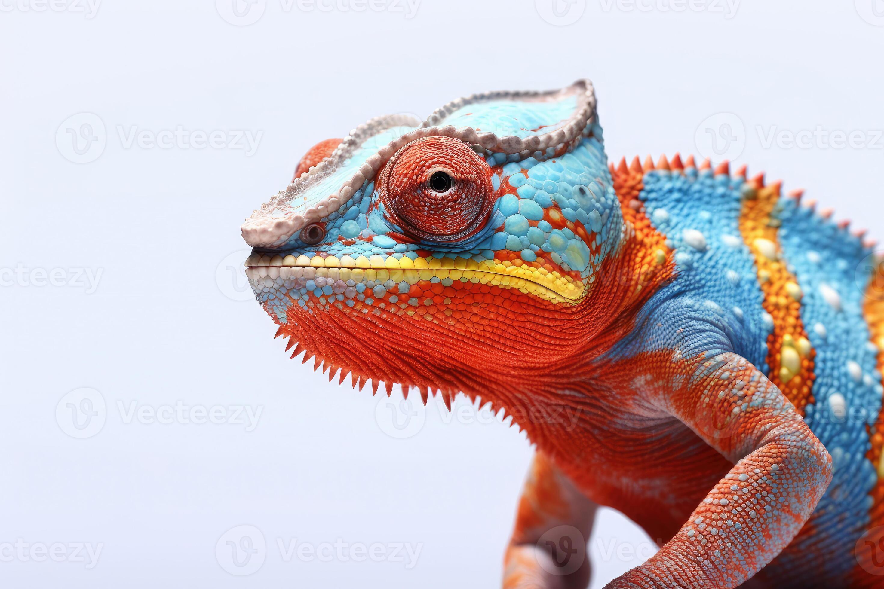 Reptile paint discount