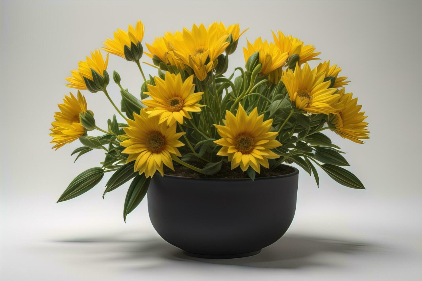 Flowers in a pot on a solid color background. ai generative photo
