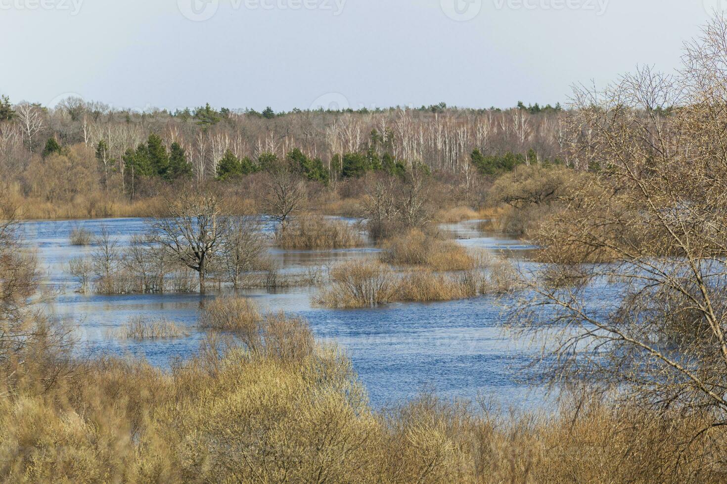 A wide blue river in an autumn forest. Autumn day and blue sky. Reflection in the blue water. View from above. Photo in high quality. Horizontal