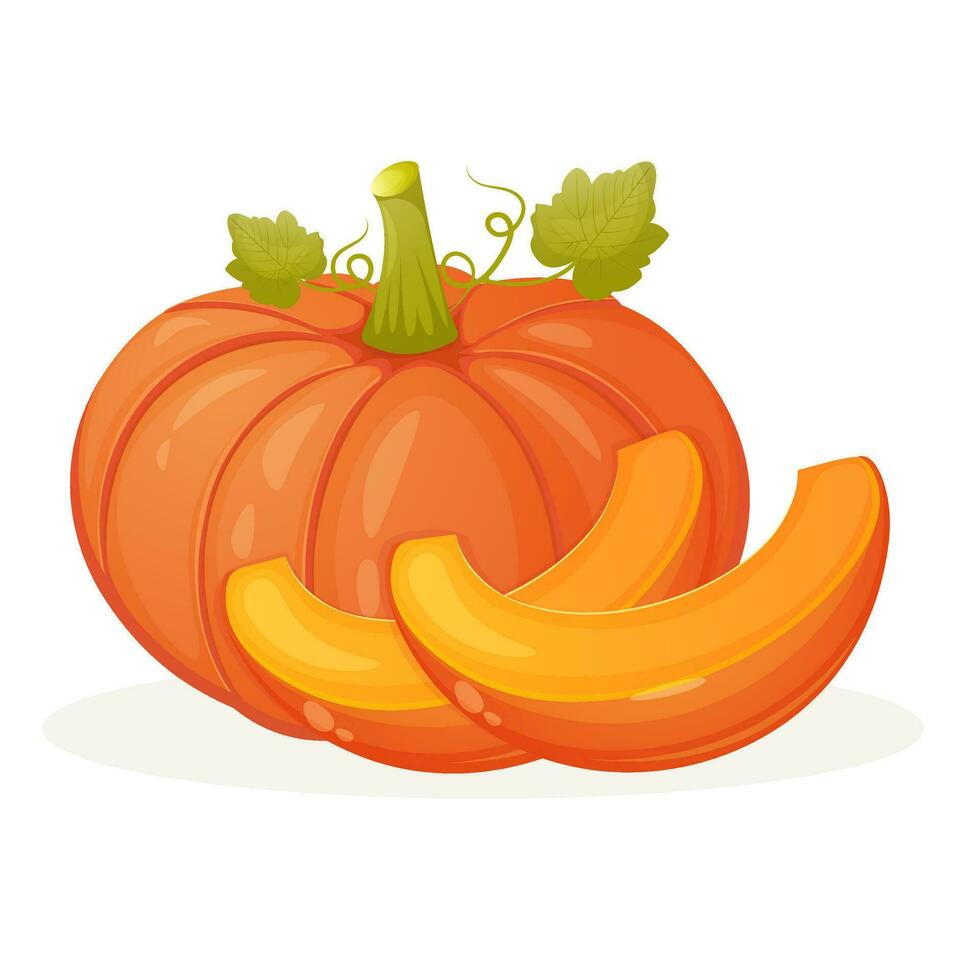 Cartoon style pumpkin with two slices vector