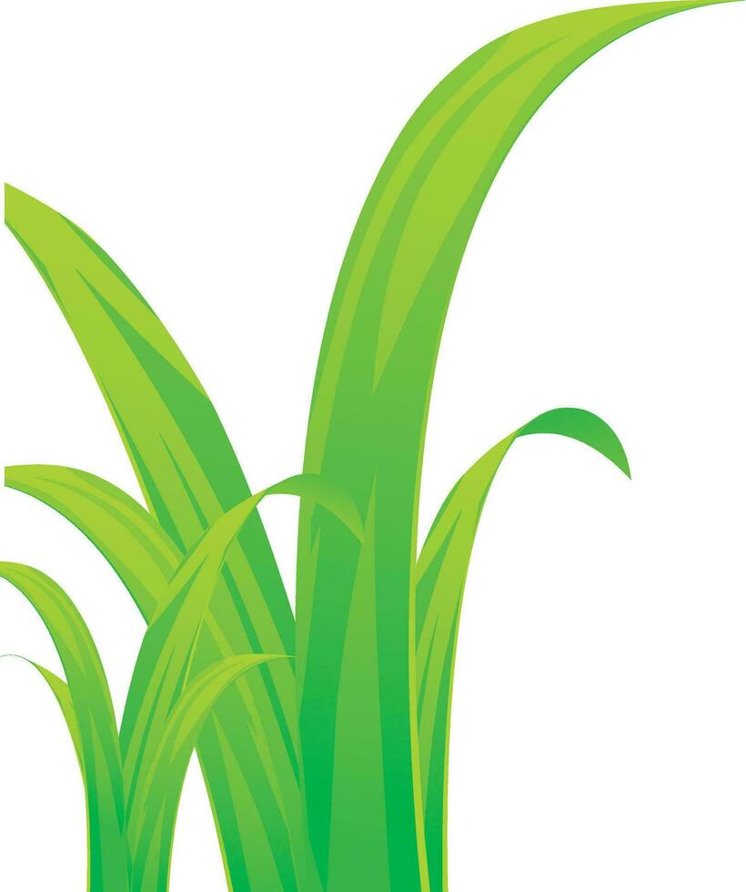 Vector illustration of green grass icon.