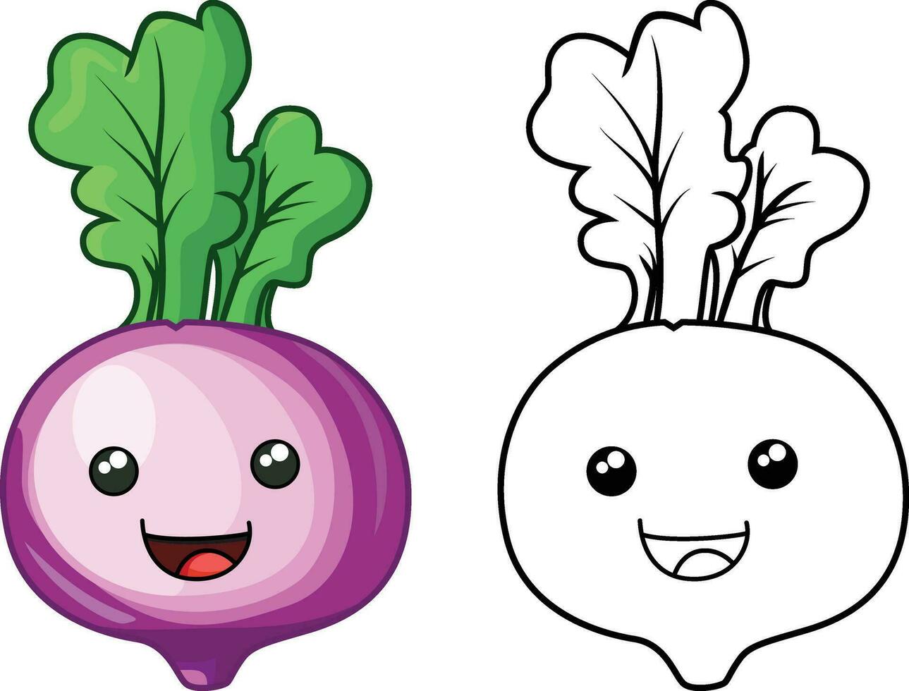 Turnip cartoon vector illustration, white turnip, neeps, tournips, rapeseed vegetable colored and black and white line art stock vector image