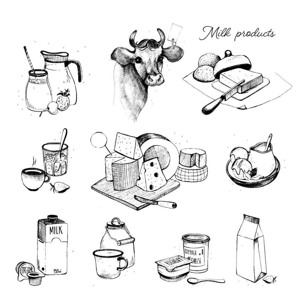 Dairy products hand drawn collection. Set milky farming assortment. Illustration on white background. vector