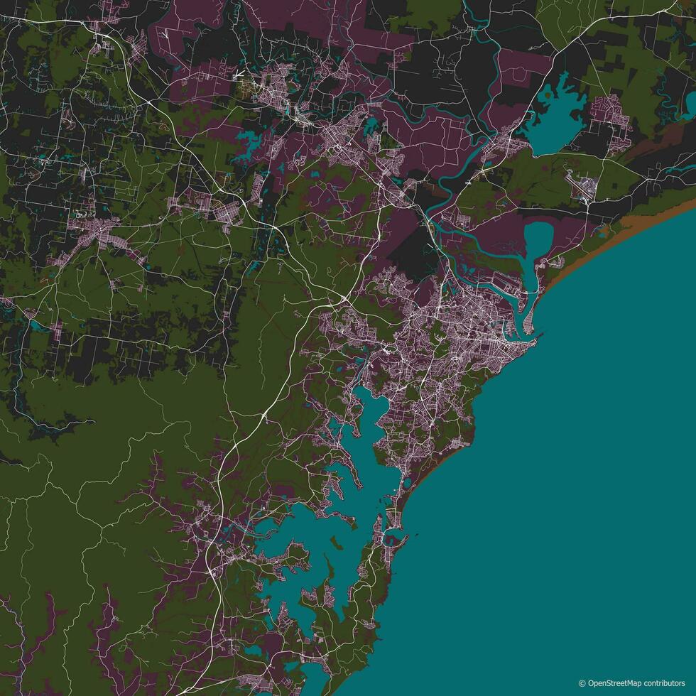 Vector city map of Newcastle New South Wales Australia