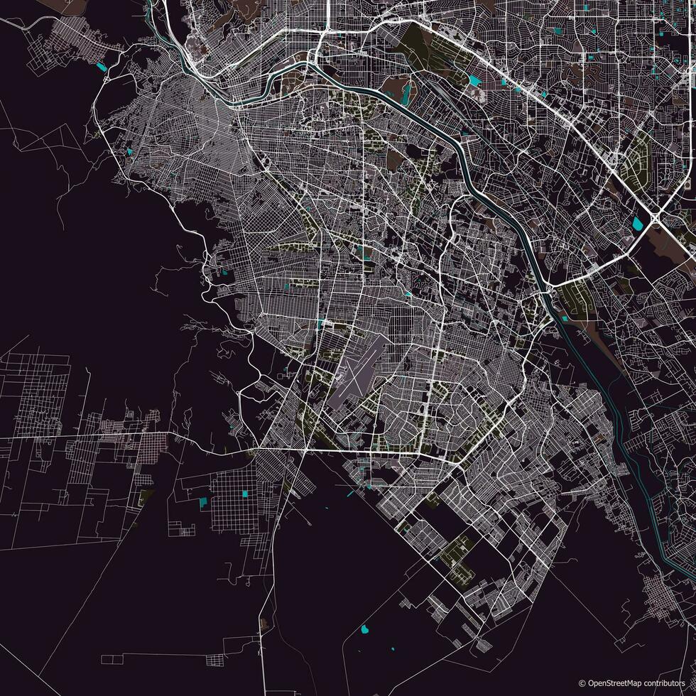 vector ciudad mapa de ciudad Juárez, chihuahua, mexico