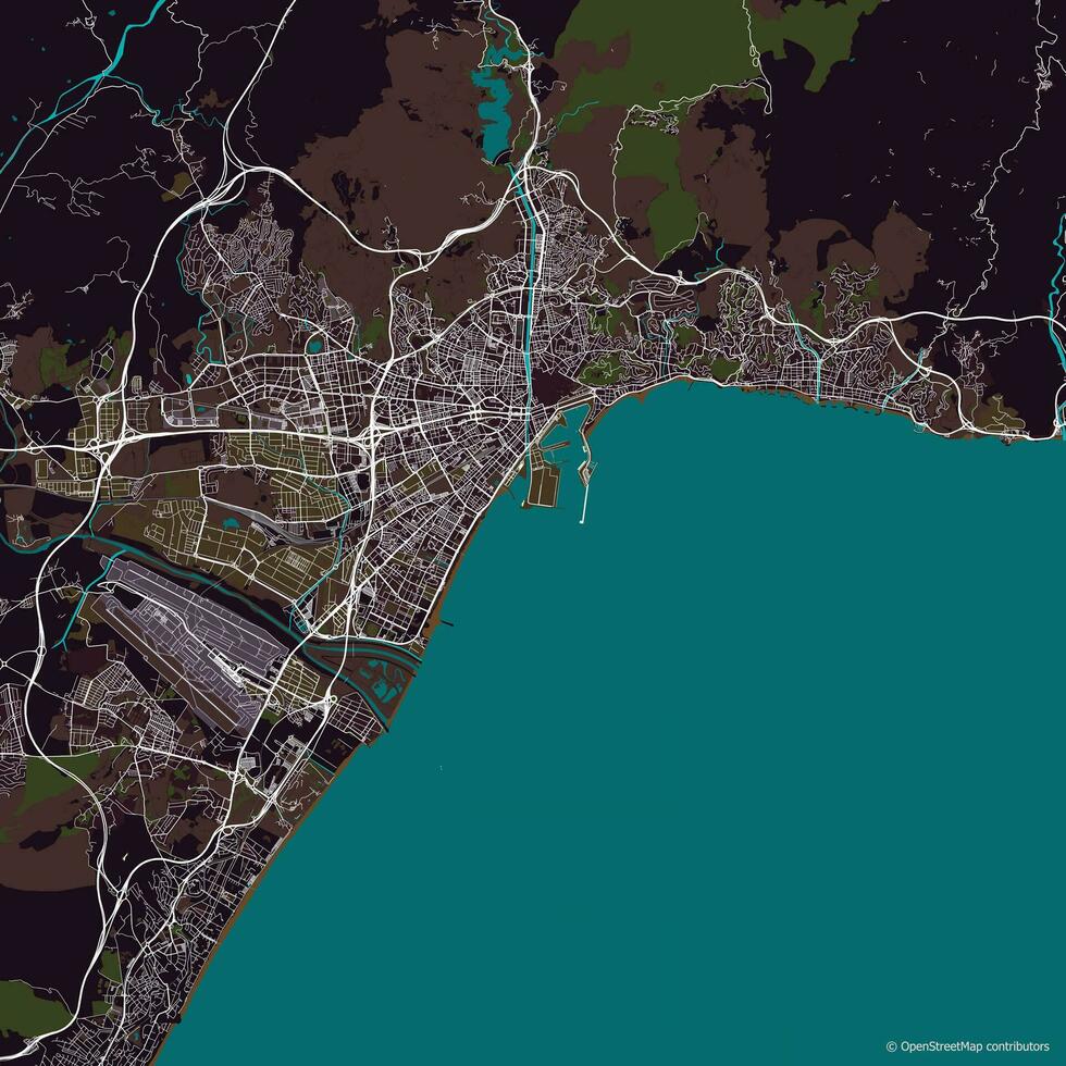 Vector city map of Malaga, Spain