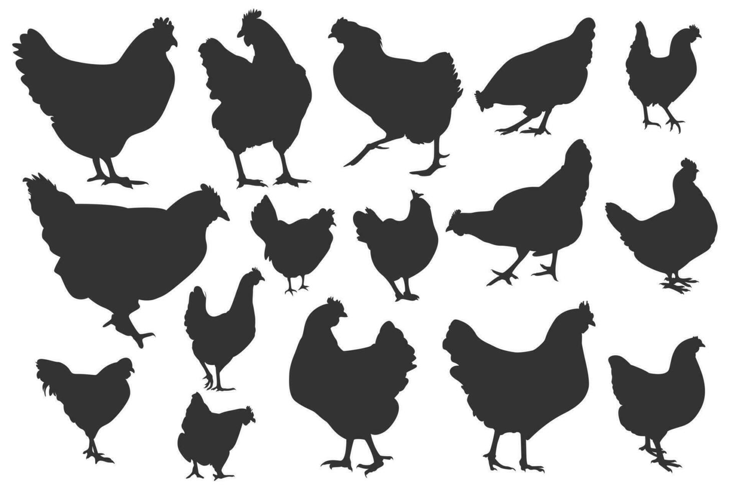 Set of hen silhouette vector
