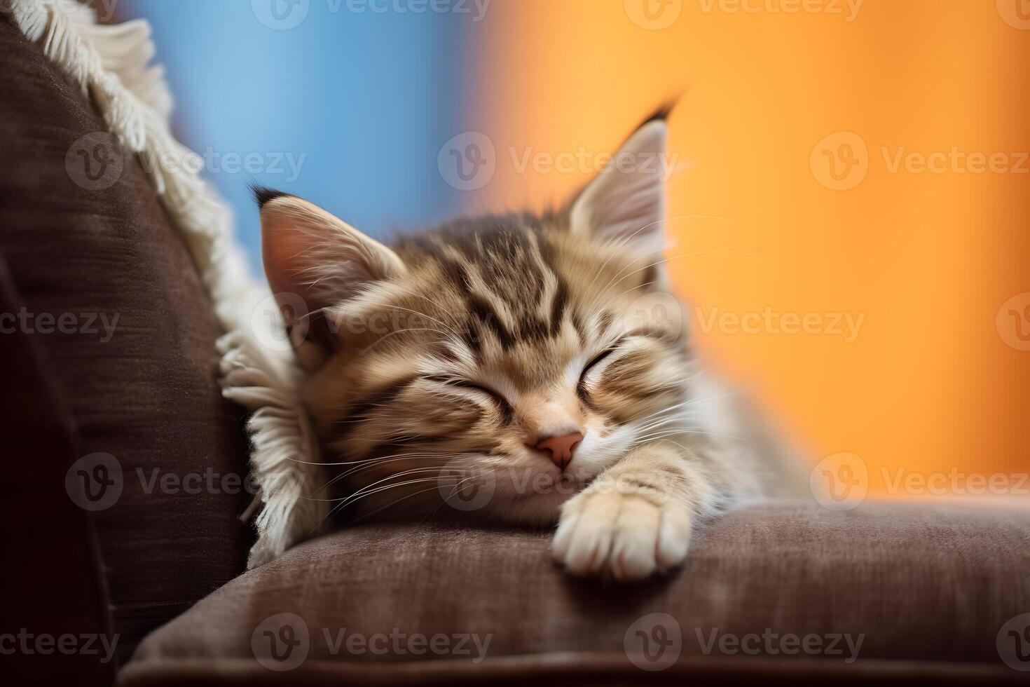 Close up shot of cute kitten sleeping on the sofa. AI Generated. photo