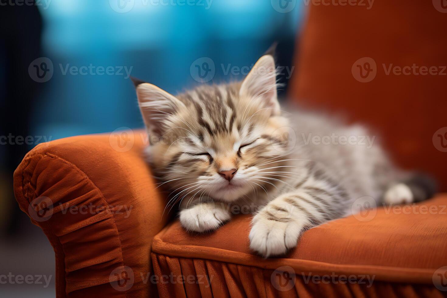 Close up shot of cute kitten sleeping on the sofa. AI Generated. photo