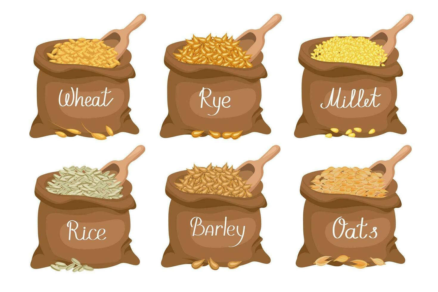 cereales colocar. lino pantalones con granos trigo, centeno, avena, arroz, cebada, mijo. cosecha, agricultura. ilustración, vector