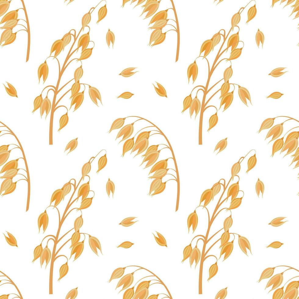 Seamless pattern of spikelets and oat seeds. Oat grains on a white background. Agriculture background, print, vector