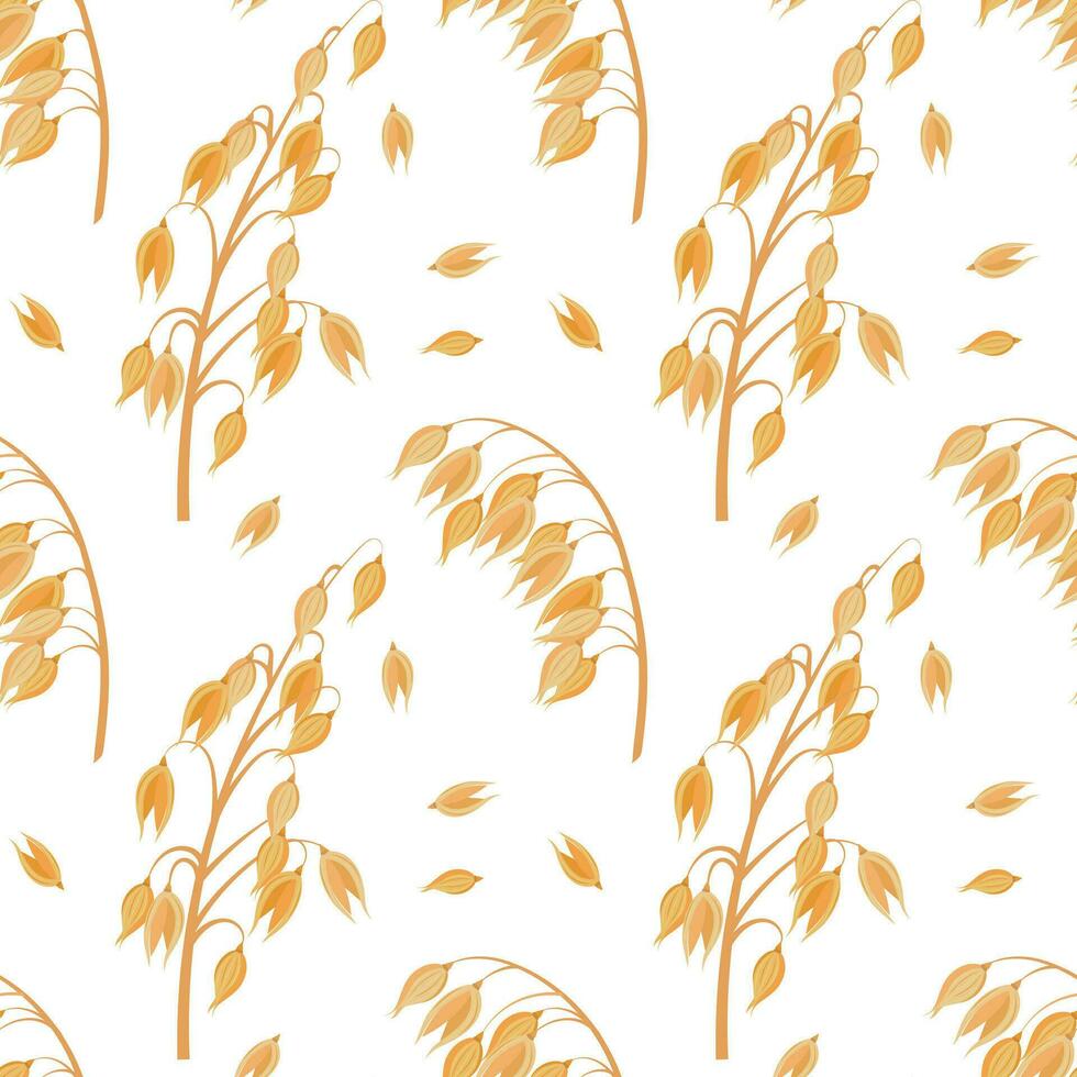 Seamless pattern of spikelets and oat seeds. Oat grains on a white background. Agriculture background, print, vector