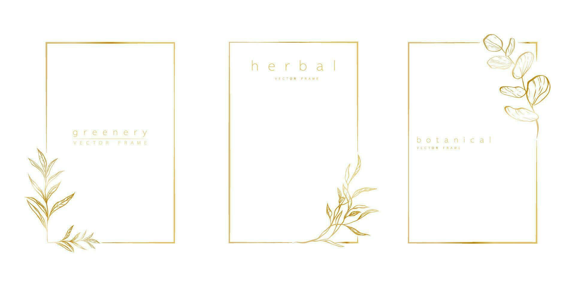 Set of logo templates in minimal linear style with hand drawn branches and leaves. Elegant floral frame. Botanical vector illustration for labels, corporate identity, wedding invitation, save the date