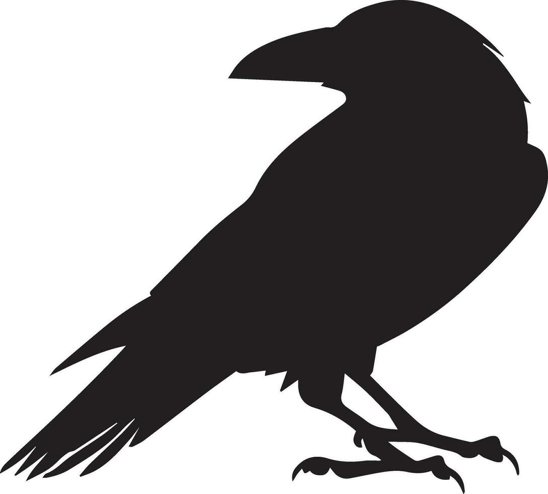 Crow vector silhouette illustration black color