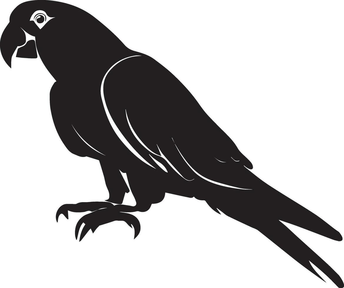 Parrot vector silhouette illustration