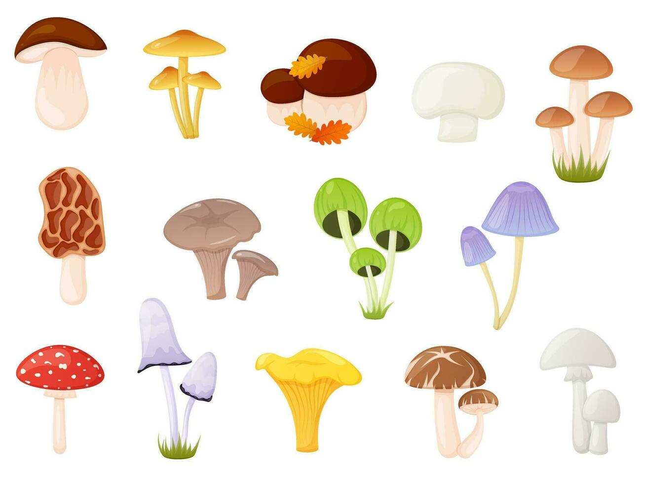 Edible and poisonous mushroom set Autumn forest elements vector