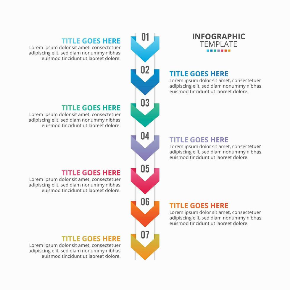 7 Steps Options Timeline Business Infographic Template Design vector