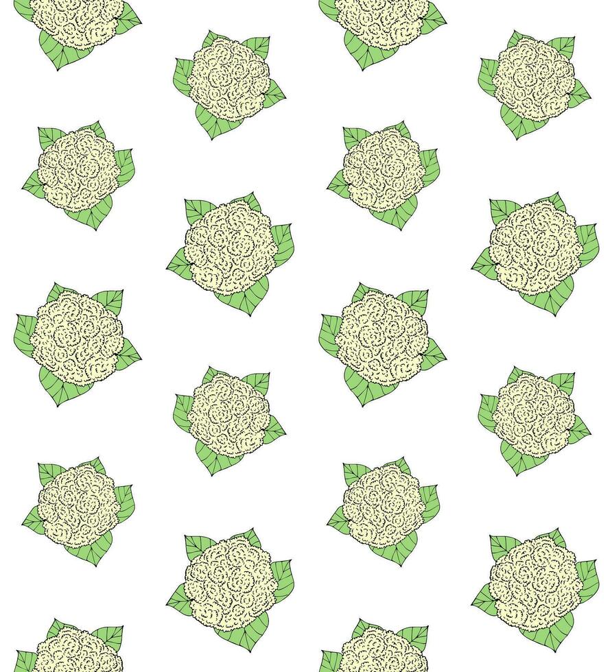 Vector seamless pattern of sketch cauliflower