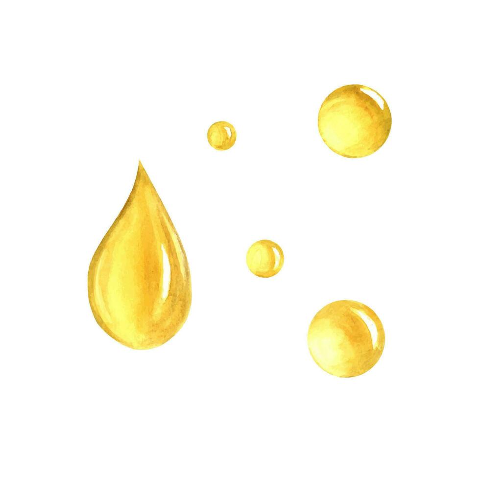 Oil drops. Hand drawn watercolor illustration. For product and italian, greek, spanish cuisine design. vector