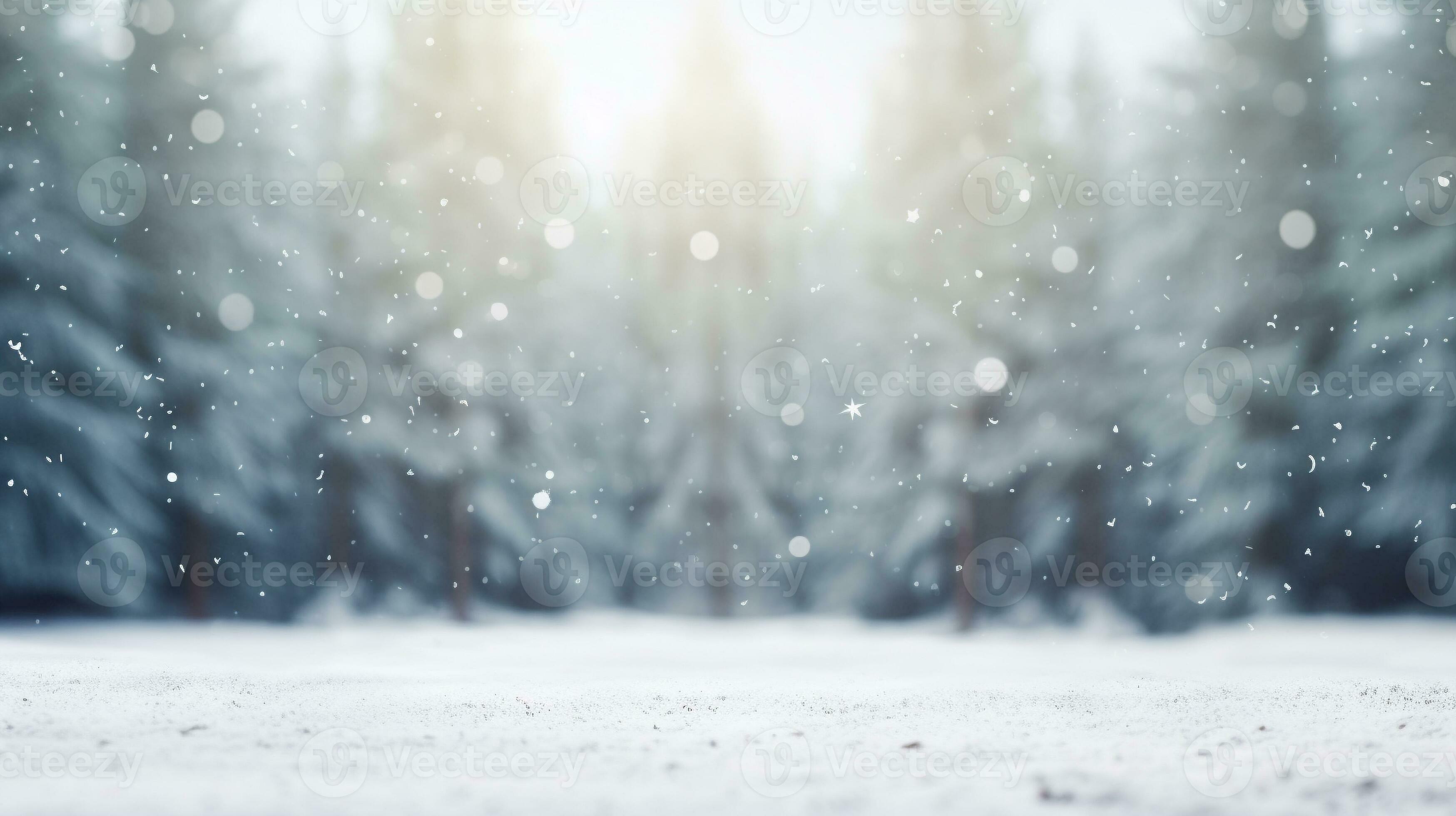 blur white snow and pine forest winter background. Christmas and new