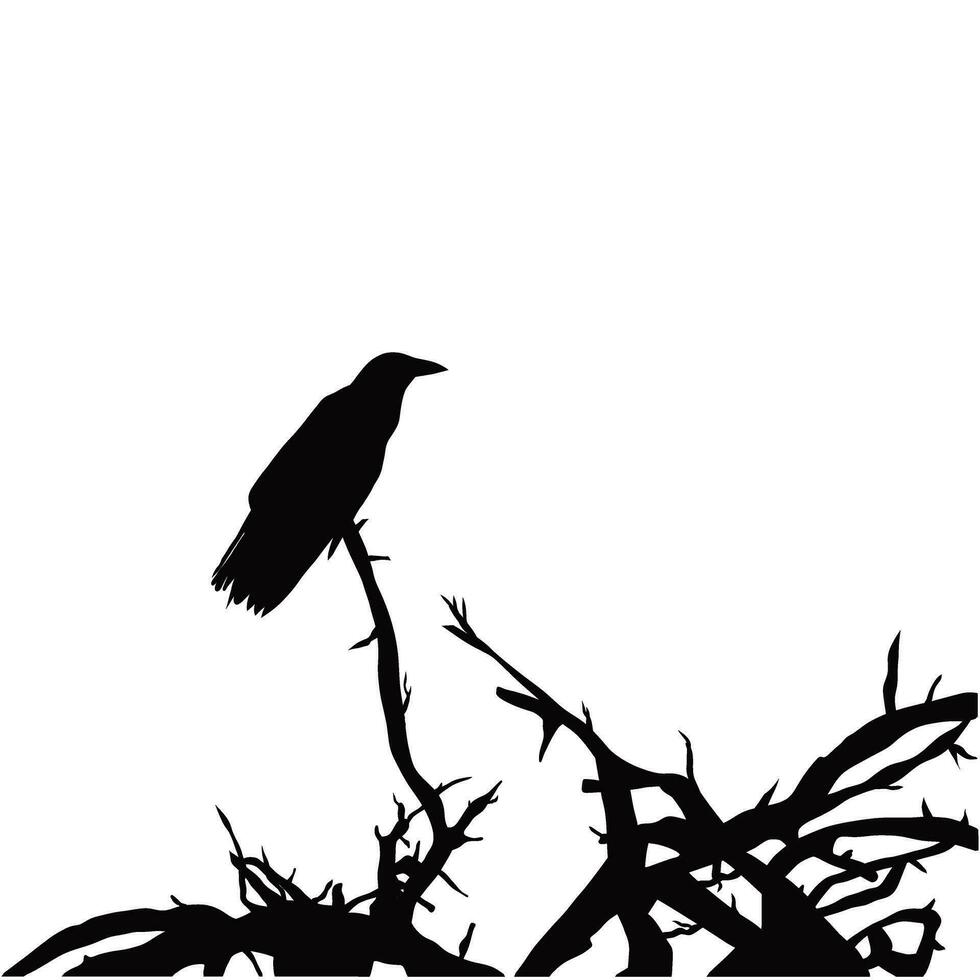 Black Silhouette of Crow on a tree vector