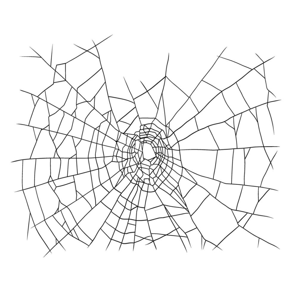 Realistic Spider Web, Hand Draw Vector
