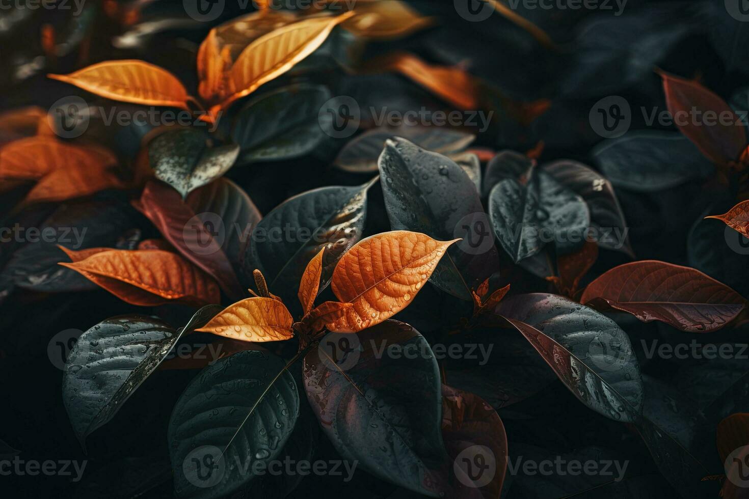 cerca arriba de hermosa otoño hojas con agua gotas. natural antecedentes ai generado foto