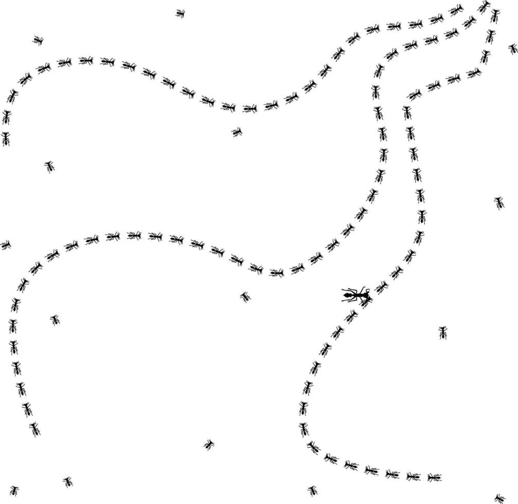 Ant trail illustration silhouettes. Insect path to the home. vector