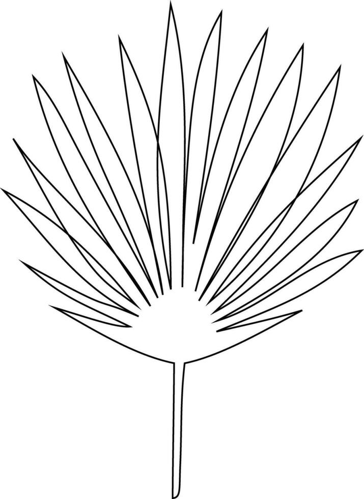 Tropical Leaf Line Art vector