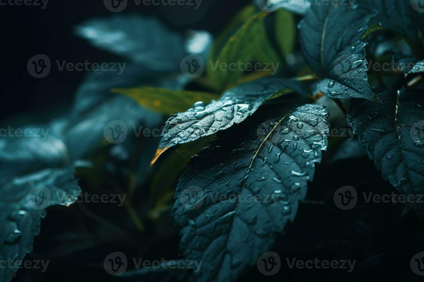 Close up of beautiful autumn leaves with water drops. Natural background AI Generated photo