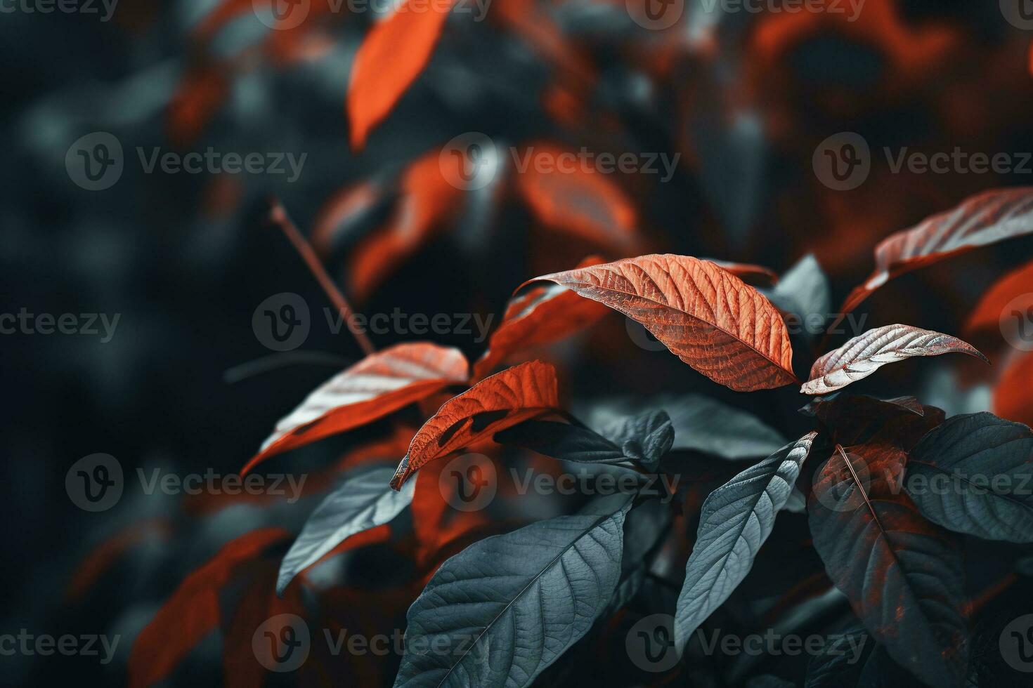 Close up of beautiful autumn leaves with water drops. Natural background AI generated photo
