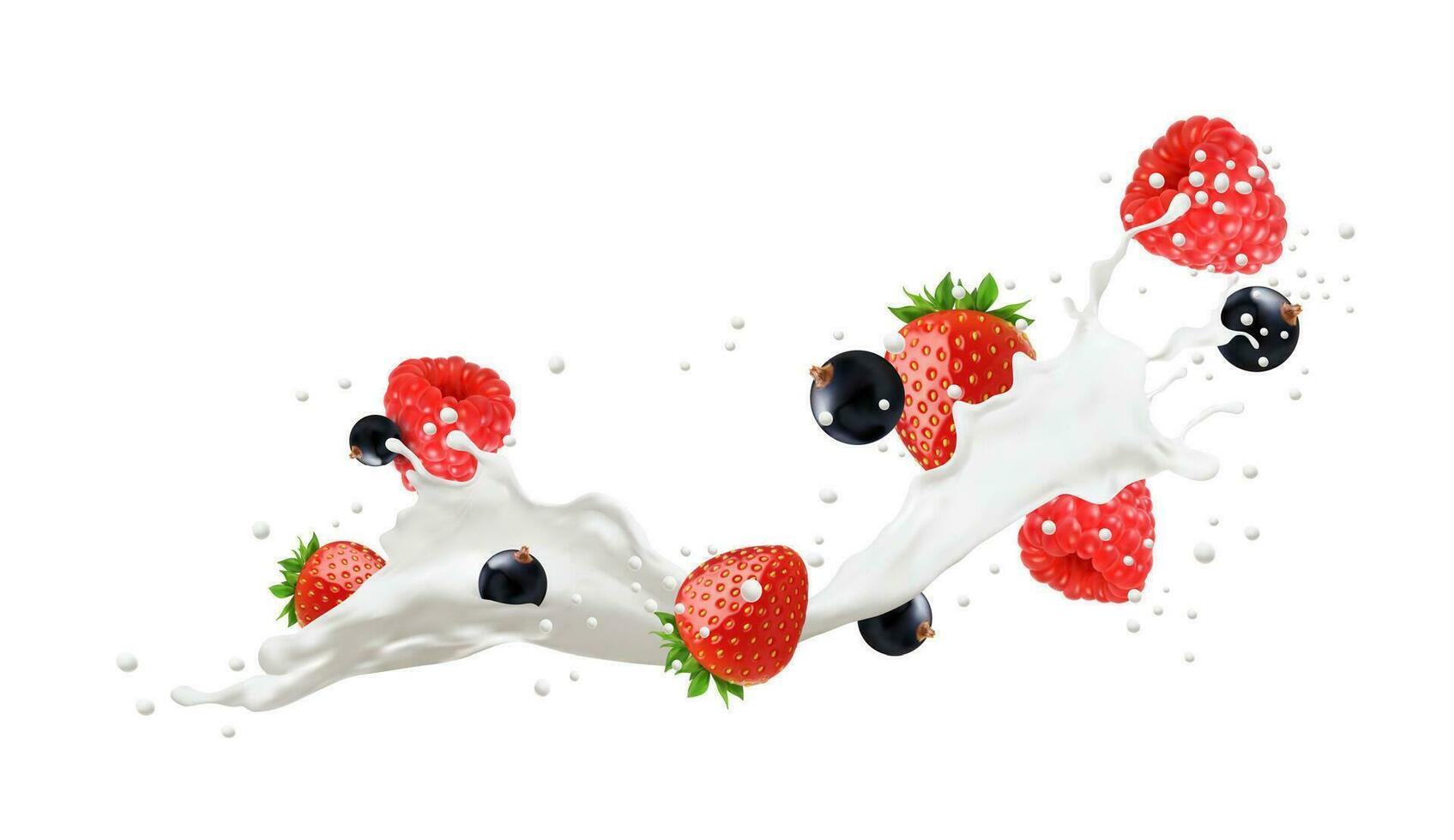 Realistic milk drink swirl splash with berries vector