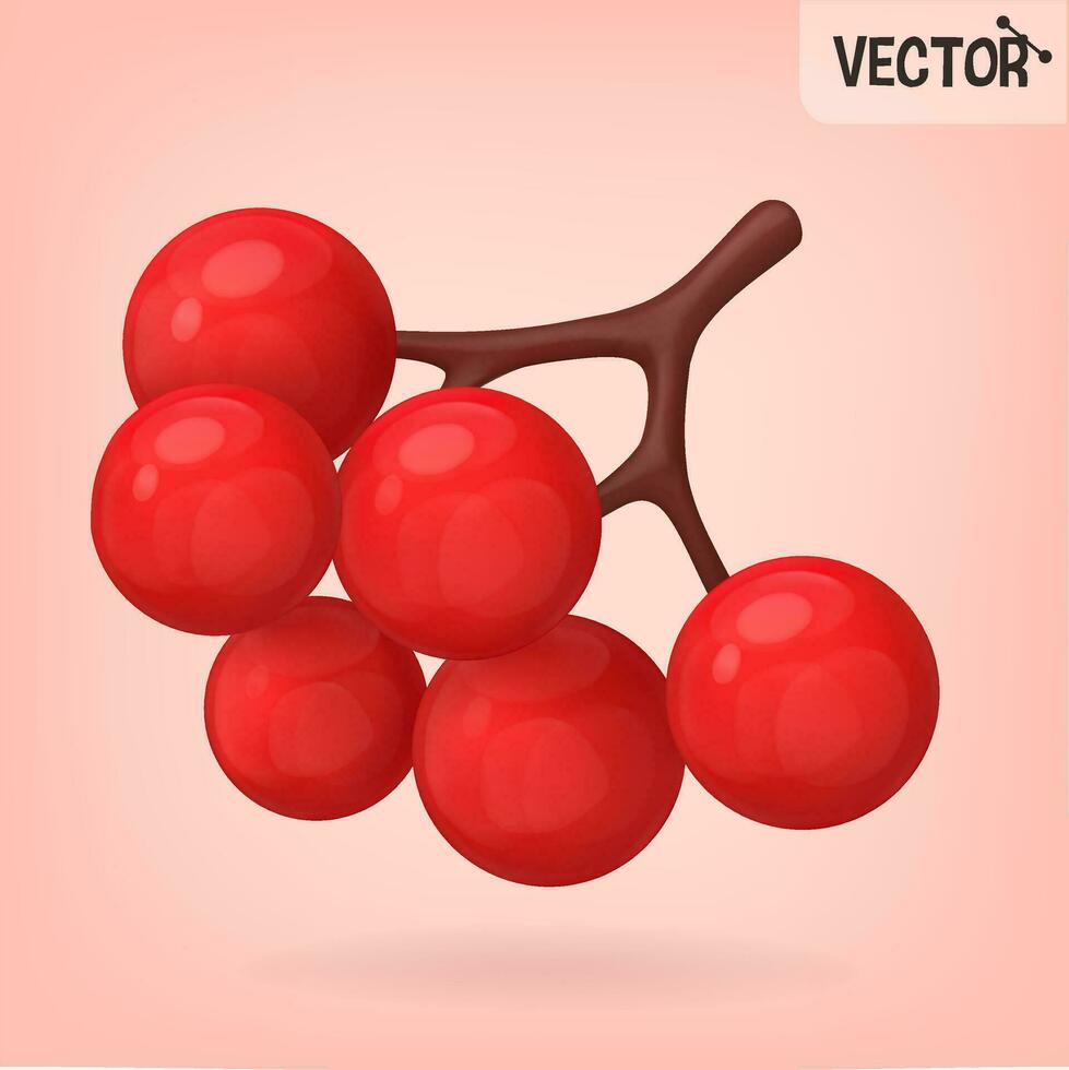 Rowanberry icon vector 3d . Bunch of red rowan berries isolated on pink background. Vector illustration in 3D style.