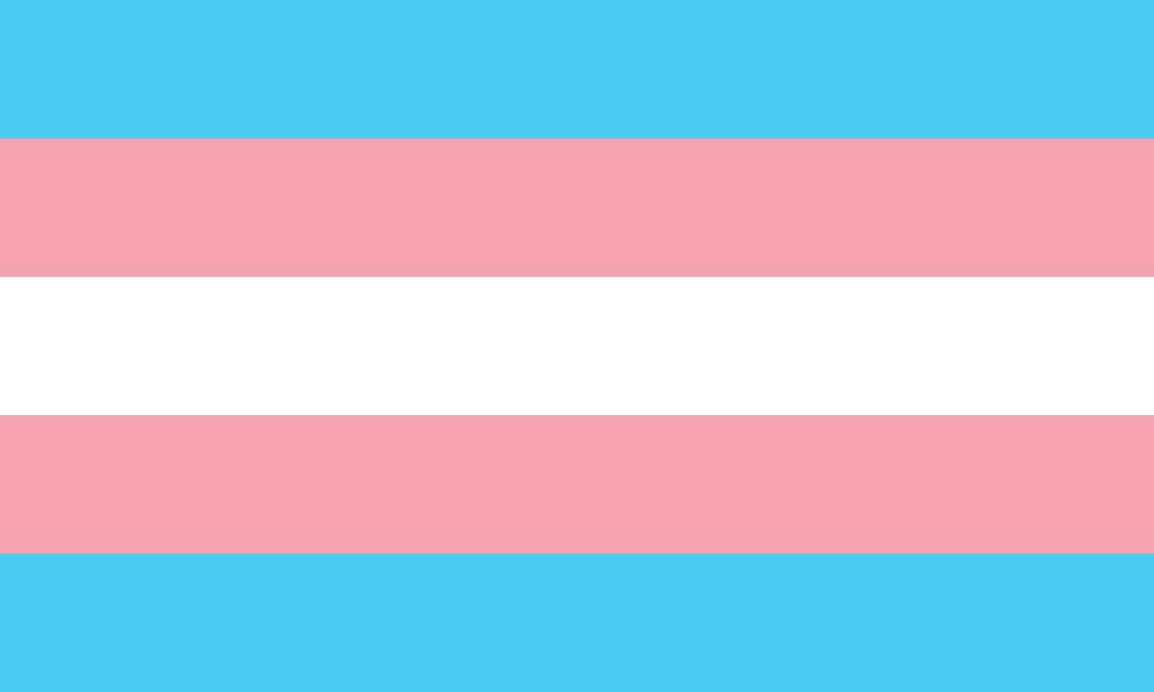 Transgender love pride identity flag vector