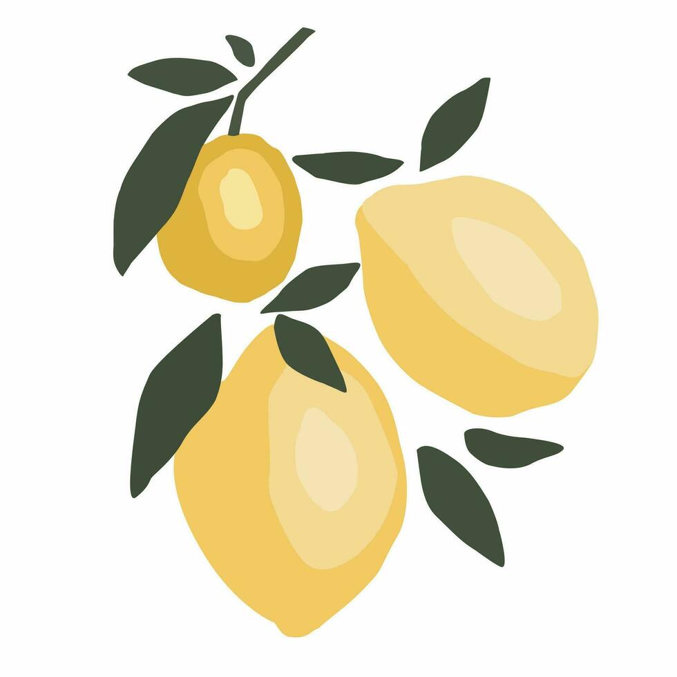 lemons isolated on white background, yellow flat illustration vector