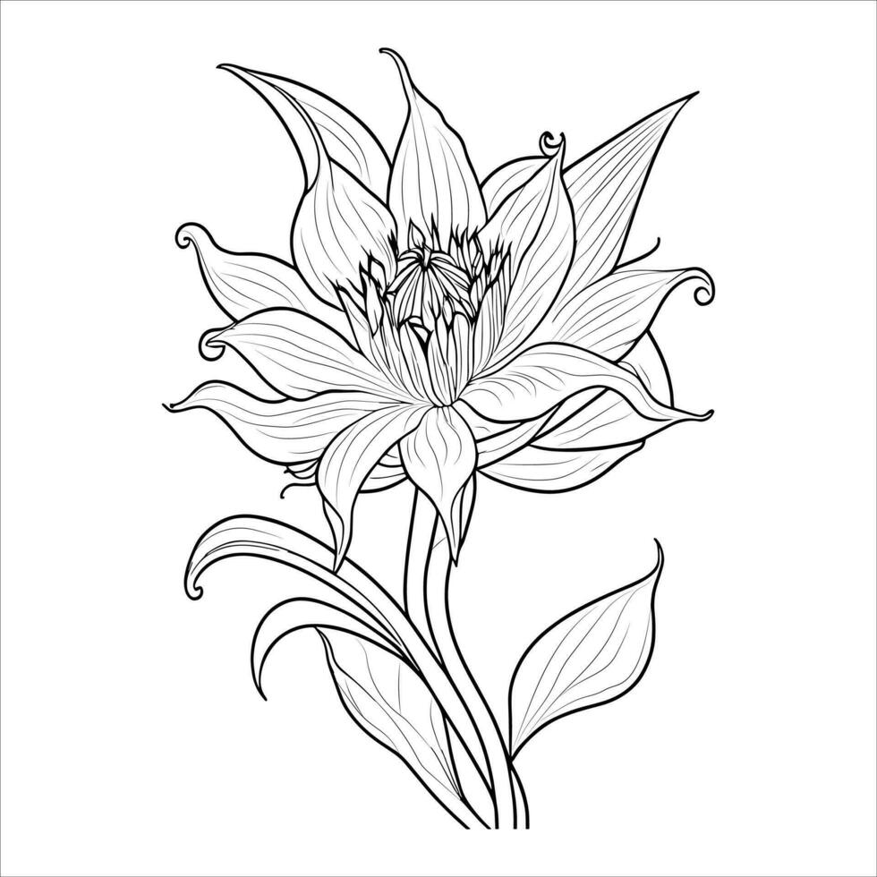 Lotus line art flower vector