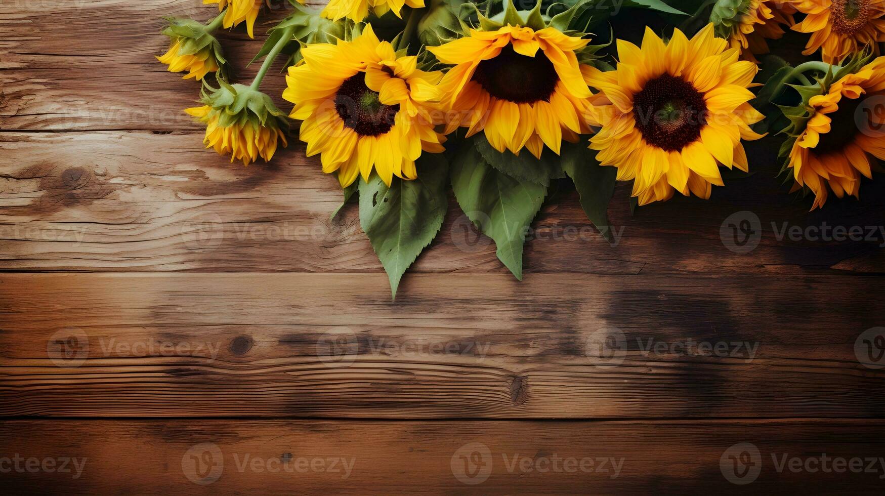 sunflowers on wooden background photo