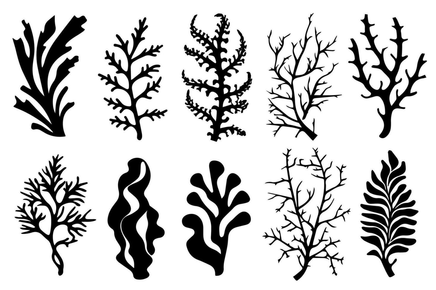 Hand drawn set of corals and seaweed silhouette isolated on white background. Vector icons and stamp illustration.