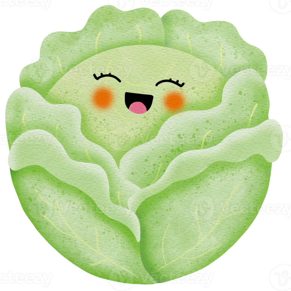 Cute smiling cabbage png