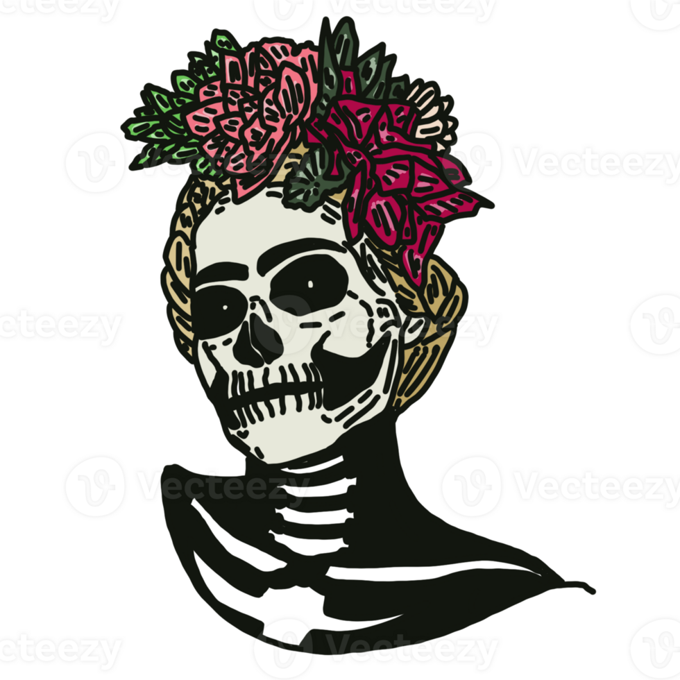 skull and crossbones png