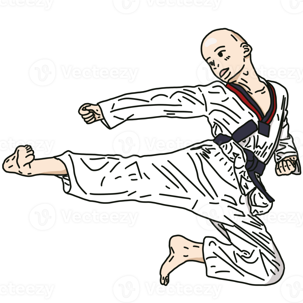 Taekwondo kicking action png